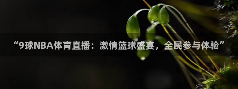 “9球NBA体育直播：激情篮球盛宴，全民参与体验”