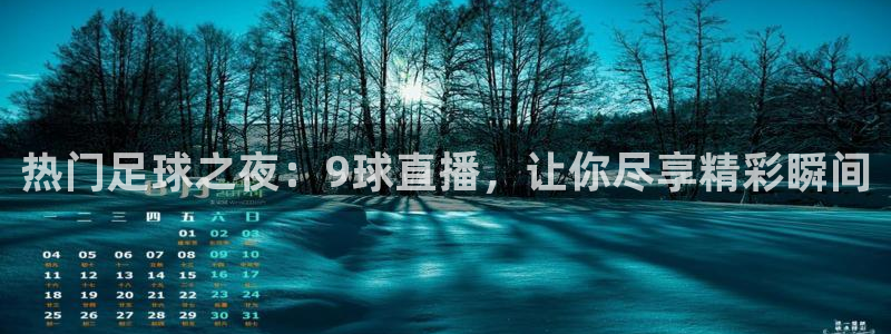 热门足球之夜：9球直播，让你尽享精彩瞬间