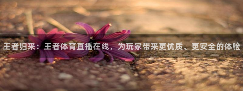 王者归来：王者体育直播在线，为玩家带来更优质、更安全的体验