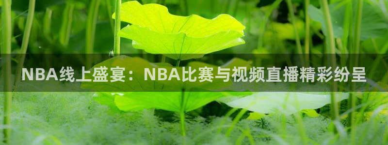 NBA线上盛宴：NBA比赛与视频直播精彩纷呈