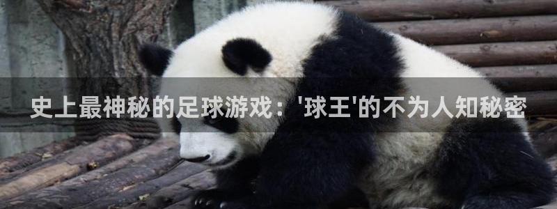 史上最神秘的足球游戏：\'球王\'的不为人知秘密