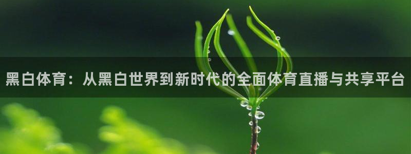 黑白体育：从黑白世界到新时代的全面体育直播与共享平台