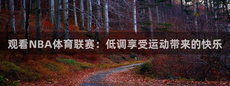 观看NBA体育联赛：低调享受运动带来的快乐