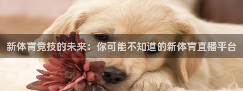新体育竞技的未来：你可能不知道的新体育直播平台