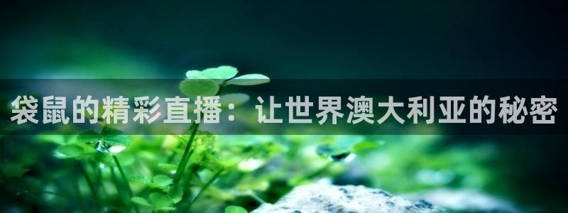 袋鼠的精彩直播：让世界澳大利亚的秘密