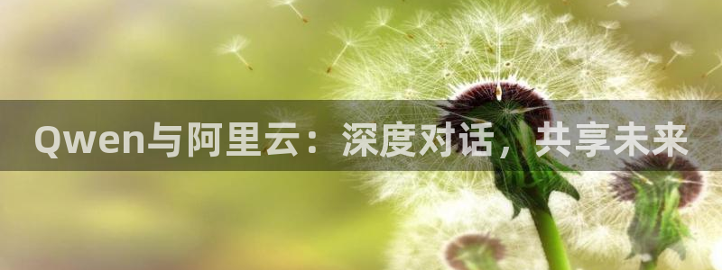 Qwen与阿里云：深度对话，共享未来