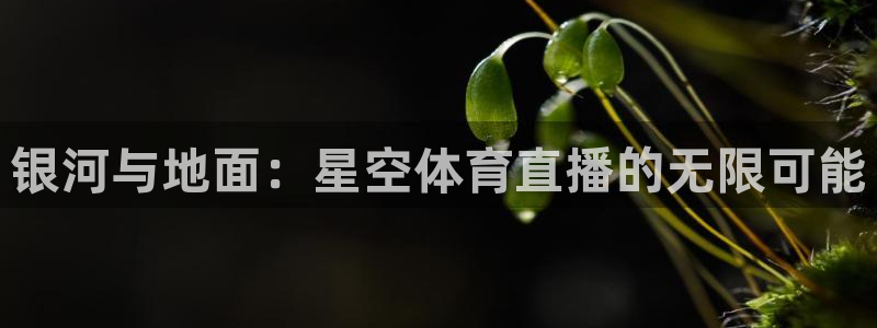 银河与地面：星空体育直播的无限可能