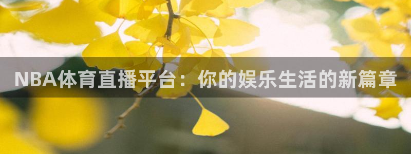 NBA体育直播平台：你的娱乐生活的新篇章