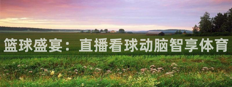 篮球盛宴：直播看球动脑智享体育