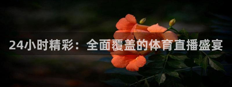 24小时精彩：全面覆盖的体育直播盛宴