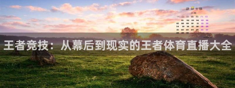 王者竞技：从幕后到现实的王者体育直播大全