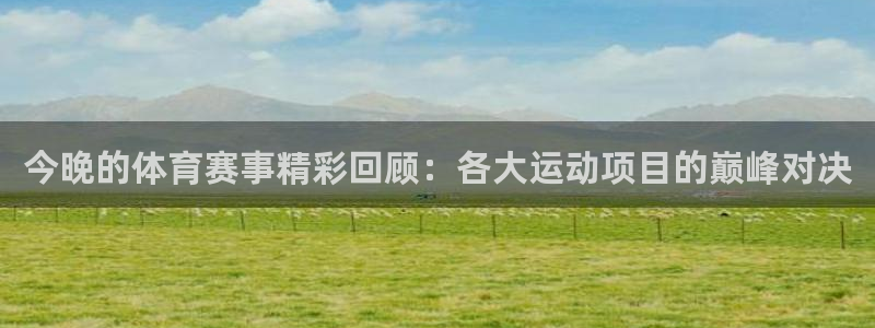 今晚的体育赛事精彩回顾：各大运动项目的巅峰对决