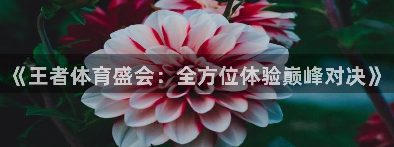 《王者体育盛会：全方位体验巅峰对决》