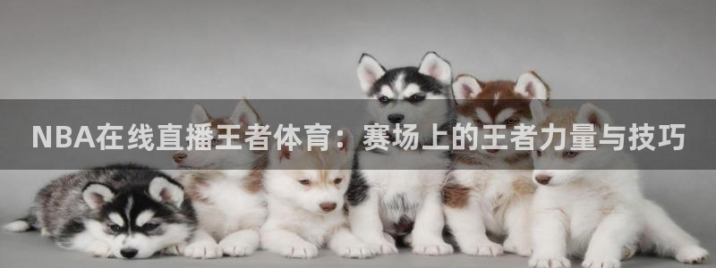 NBA在线直播王者体育：赛场上的王者力量与技巧