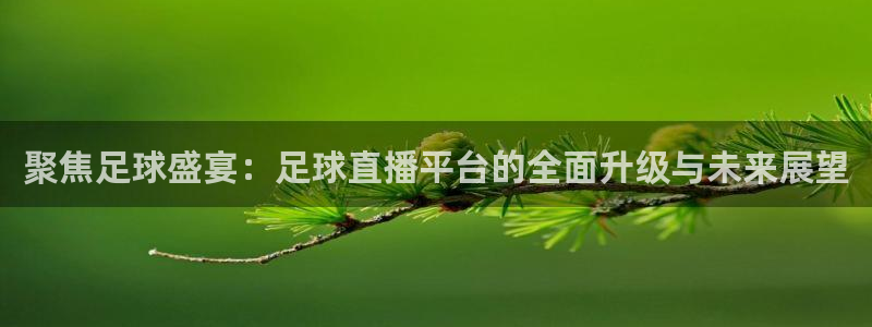 聚焦足球盛宴：足球直播平台的全面升级与未来展望