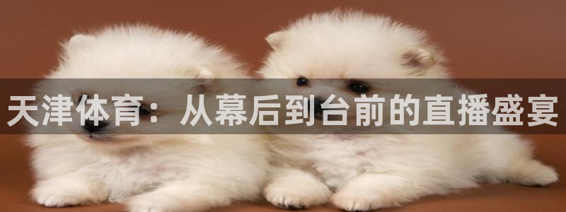 天津体育：从幕后到台前的直播盛宴