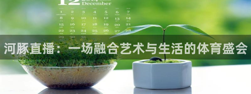 河豚直播：一场融合艺术与生活的体育盛会