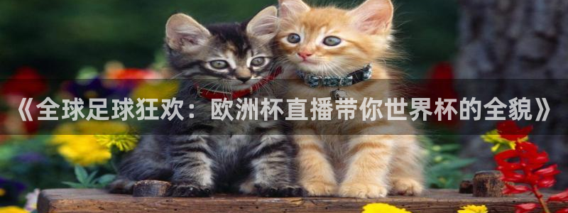 《全球足球狂欢：欧洲杯直播带你世界杯的全貌》