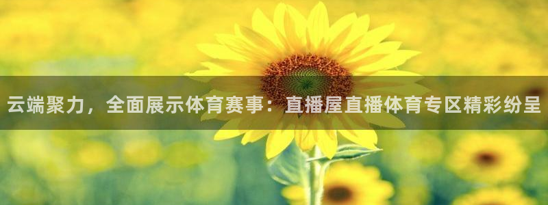 云端聚力，全面展示体育赛事：直播屋直播体育专区精彩纷呈