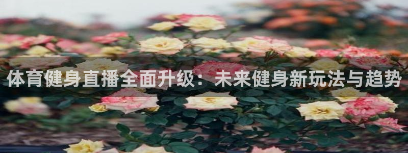 体育健身直播全面升级：未来健身新玩法与趋势