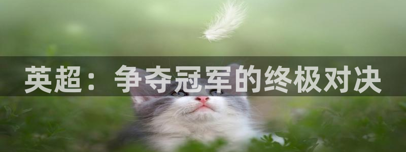 英超：争夺冠军的终极对决