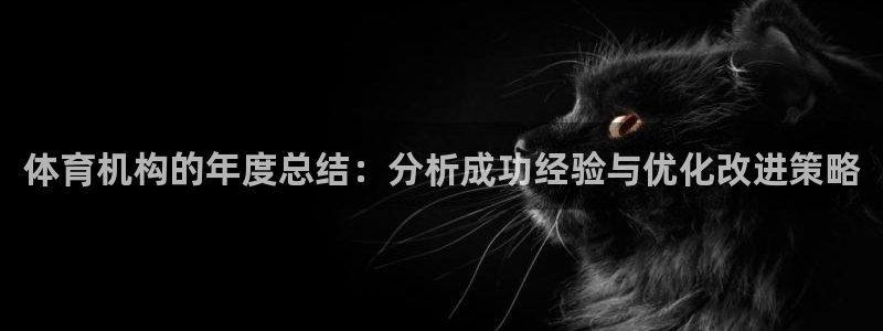 体育机构的年度总结：分析成功经验与优化改进策略