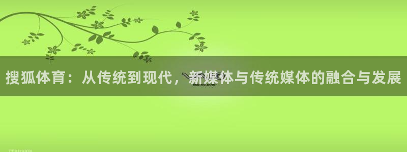 搜狐体育：从传统到现代，新媒体与传统媒体的融合与发展