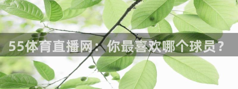 55体育直播网：你最喜欢哪个球员？