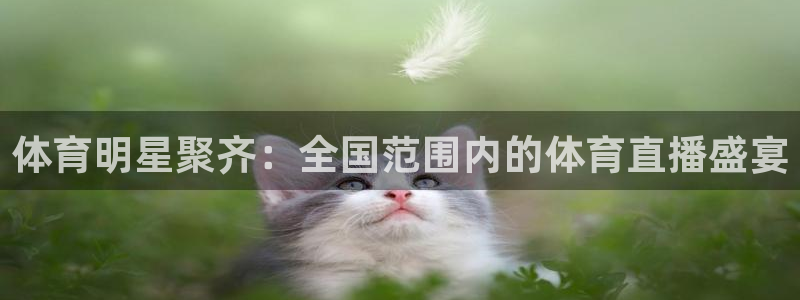 体育明星聚齐：全国范围内的体育直播盛宴