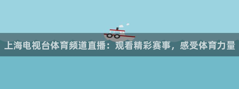 上海电视台体育频道直播：观看精彩赛事，感受体育力量