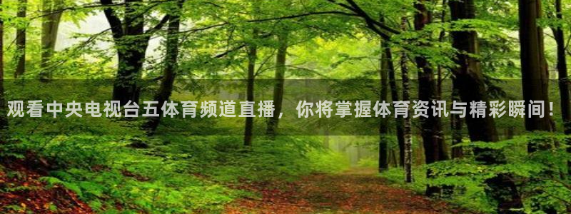 观看中央电视台五体育频道直播，你将掌握体育资讯与精彩瞬间！