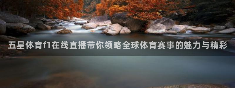 五星体育f1在线直播带你领略全球体育赛事的魅力与精彩