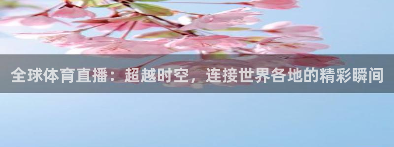 全球体育直播：超越时空，连接世界各地的精彩瞬间