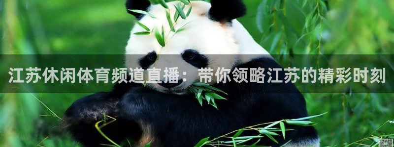 江苏休闲体育频道直播：带你领略江苏的精彩时刻