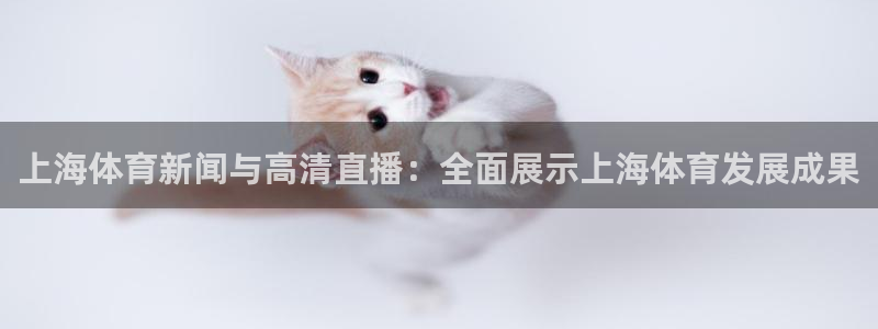 上海体育新闻与高清直播：全面展示上海体育发展成果