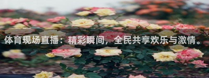 体育现场直播：精彩瞬间，全民共享欢乐与激情。