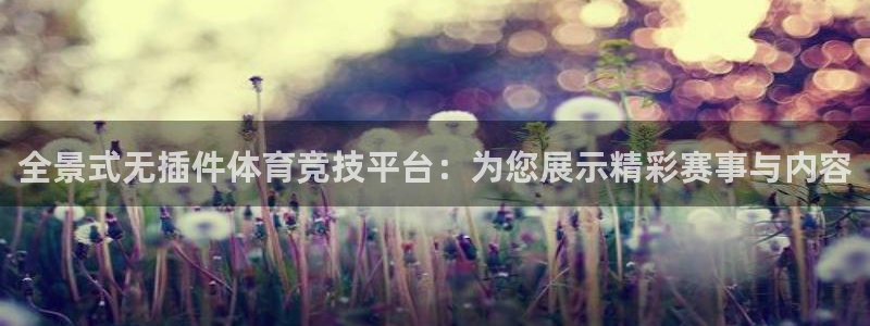 全景式无插件体育竞技平台：为您展示精彩赛事与内容