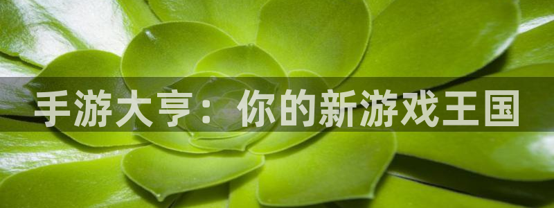 手游大亨：你的新游戏王国
