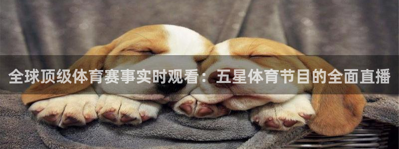 全球顶级体育赛事实时观看：五星体育节目的全面直播