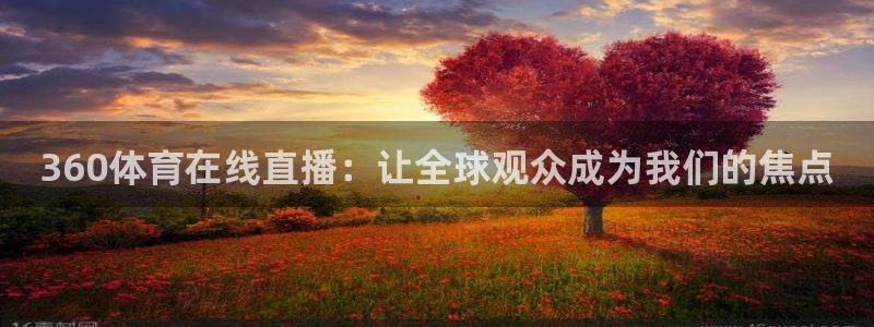 360体育在线直播：让全球观众成为我们的焦点