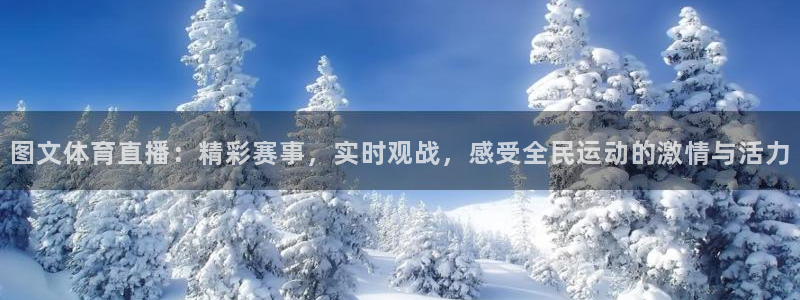 图文体育直播：精彩赛事，实时观战，感受全民运动的激情与活力