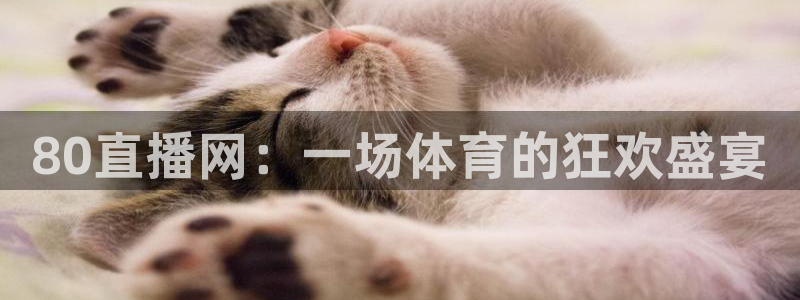 80直播网：一场体育的狂欢盛宴