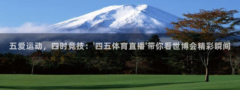 五爱运动，四时竞技：\'四五体育直播\'带你看世博会精彩瞬间