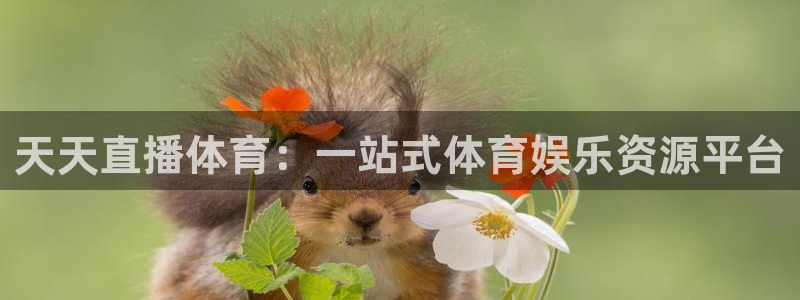 天天直播体育：一站式体育娱乐资源平台