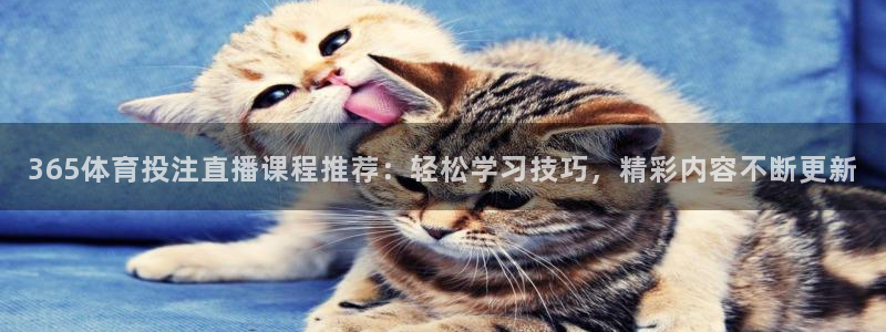 365体育投注直播课程推荐：轻松学习技巧，精彩内容不断更新