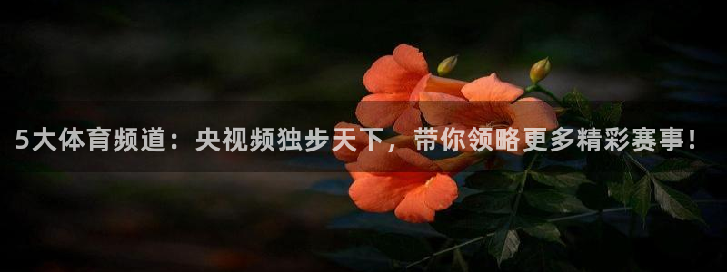 5大体育频道：央视频独步天下，带你领略更多精彩赛事！