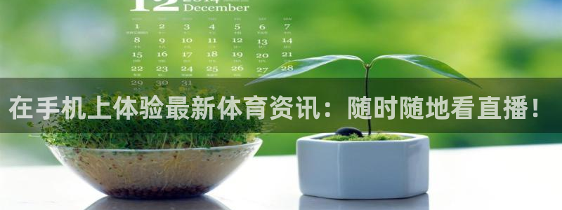 在手机上体验最新体育资讯：随时随地看直播！