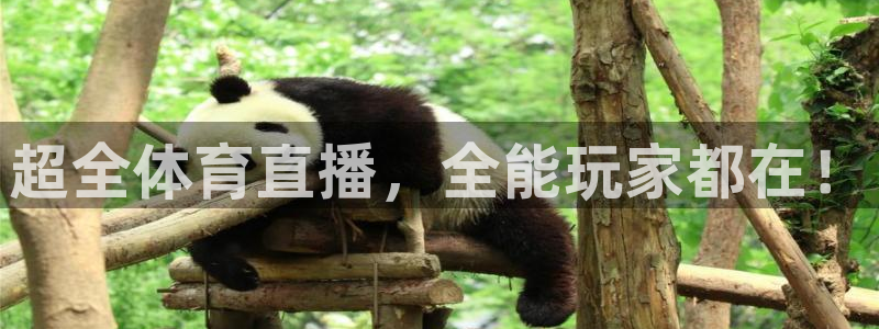 超全体育直播，全能玩家都在！