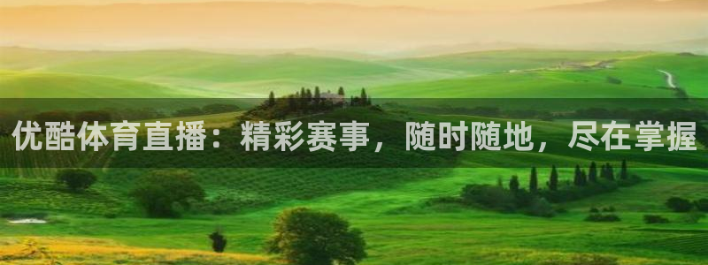 优酷体育直播：精彩赛事，随时随地，尽在掌握