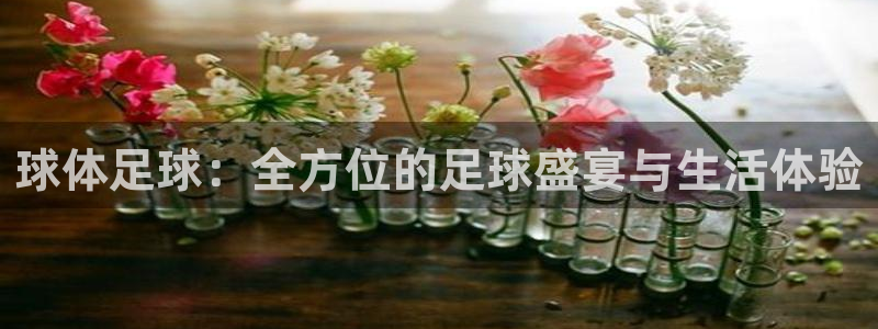 球体足球：全方位的足球盛宴与生活体验
